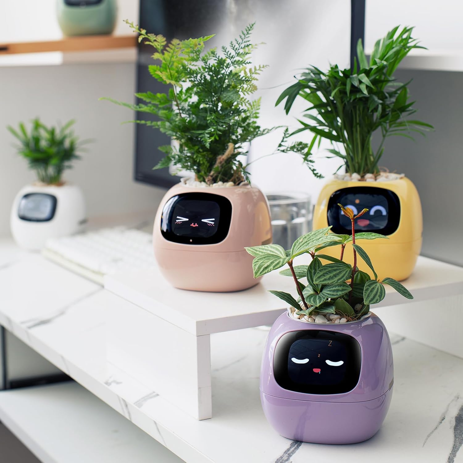 AI  water absorbing flowerpot
