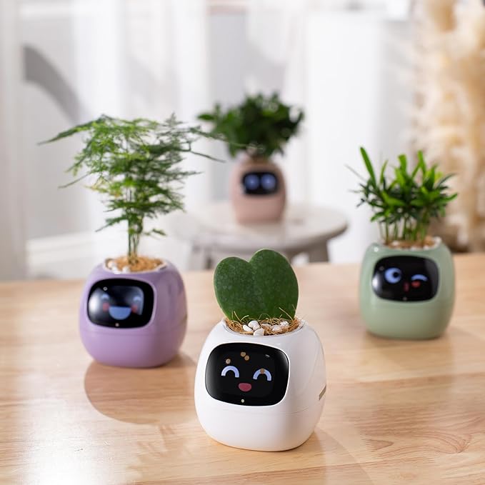 AI  water absorbing flowerpot