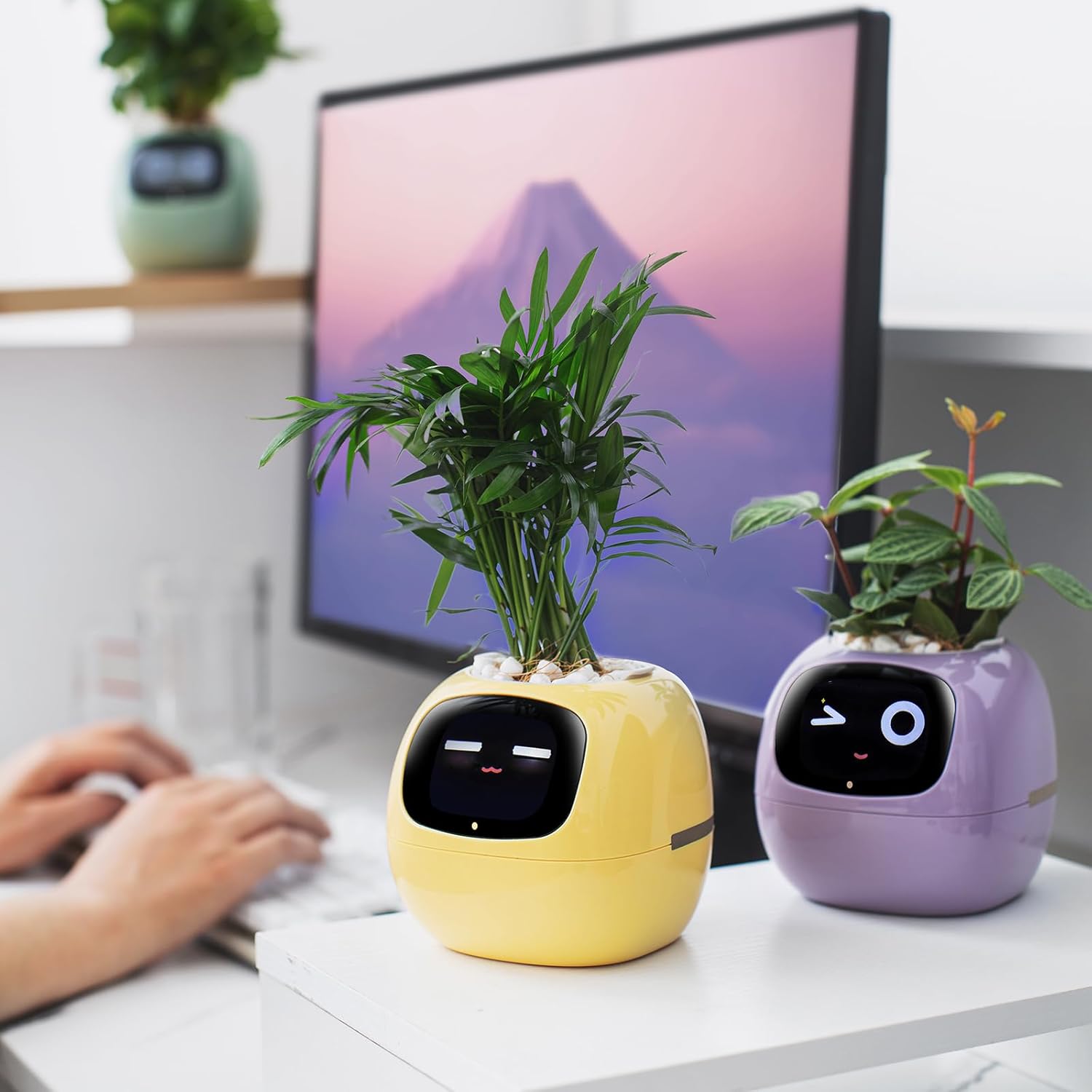 AI  water absorbing flowerpot