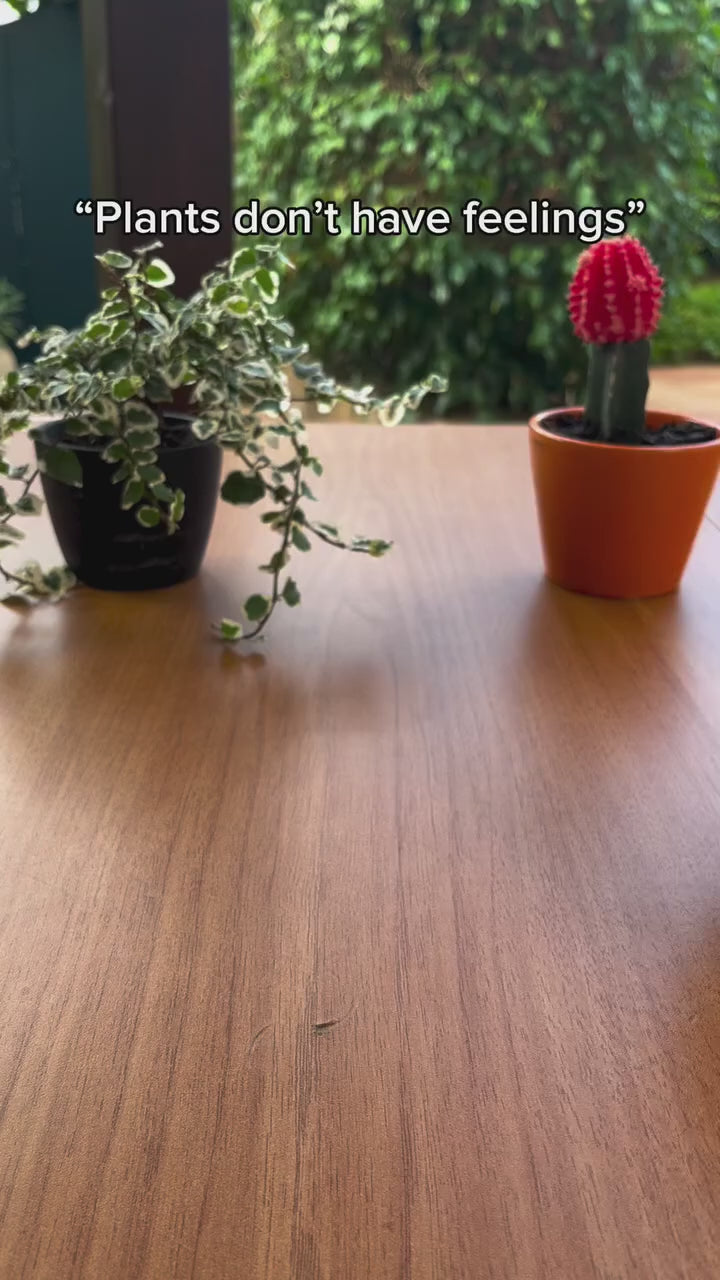 AI  water absorbing flowerpot