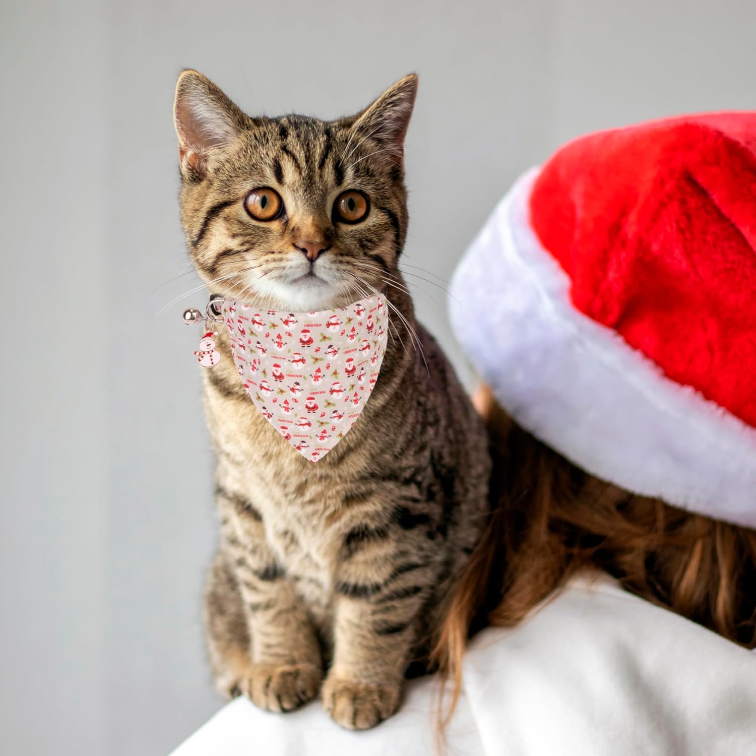 ADOGGYGO Christmas Cat Collar with Bandana 2 Pack Christmas Kitten Bandana Collar Christmas Bandana Collars for Cat Kitten (Christmas)