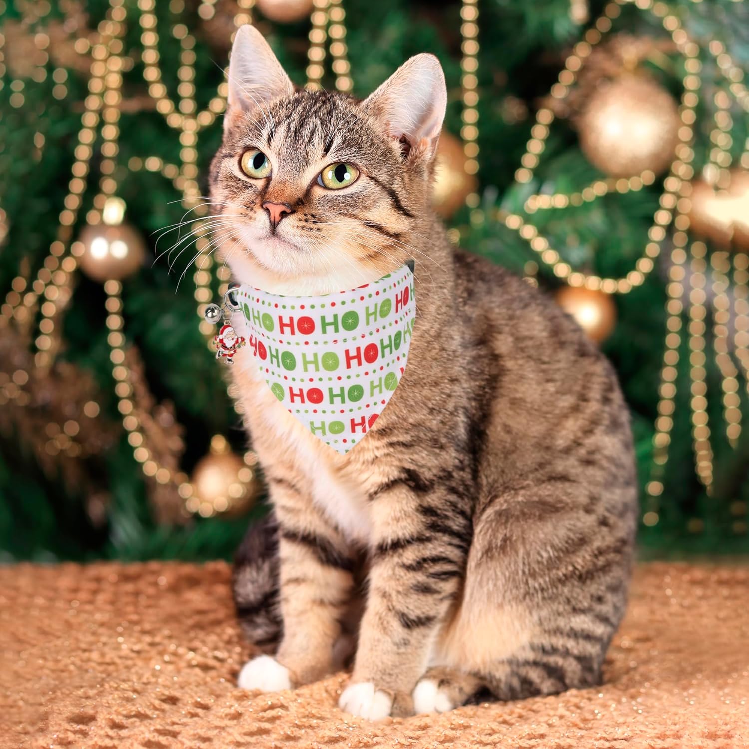 ADOGGYGO Christmas Cat Collar with Bandana 2 Pack Christmas Kitten Bandana Collar Christmas Bandana Collars for Cat Kitten (Christmas)